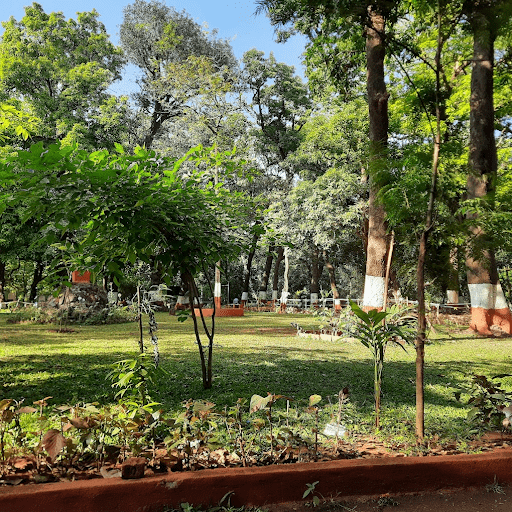 Paragliding Safety and Regulations Ultimate Guide Before Dive in Adventure