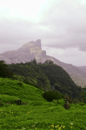 Exciting Upcoming Events in Kamshet: Don't Miss Out!